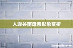 人逢谷雨母亲形象赏析