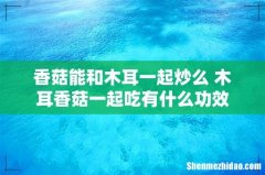 香菇能和木耳一起炒么 木耳香菇一起吃有什么功效