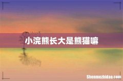 小浣熊长大是熊猫嘛