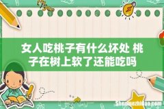 女人吃桃子有什么坏处 桃子在树上软了还能吃吗