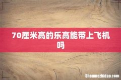 70厘米高的乐高能带上飞机吗