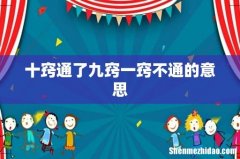 十窍通了九窍一窍不通的意思
