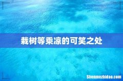 栽树等乘凉的可笑之处