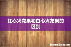 红心火龙果和白心火龙果的区别