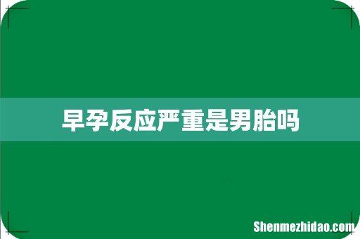 早孕反应严重是男胎吗