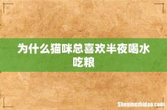 为什么猫咪总喜欢半夜喝水吃粮