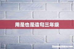 用是也是造句三年级