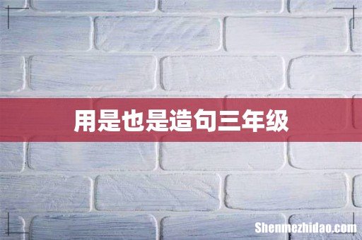 用是也是造句三年级
