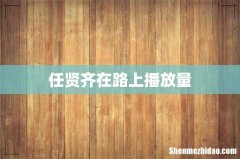 任贤齐在路上播放量