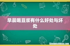 早晨喝豆浆有什么好处与坏处