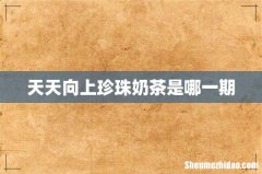 天天向上珍珠奶茶是哪一期
