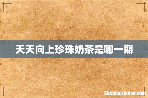 天天向上珍珠奶茶是哪一期