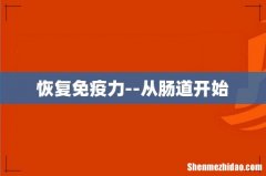 恢复免疫力--从肠道开始