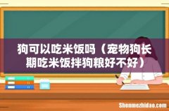 宠物狗长期吃米饭拌狗粮好不好 狗可以吃米饭吗