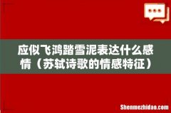 苏轼诗歌的情感特征 应似飞鸿踏雪泥表达什么感情