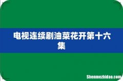 电视连续剧油菜花开第十六集