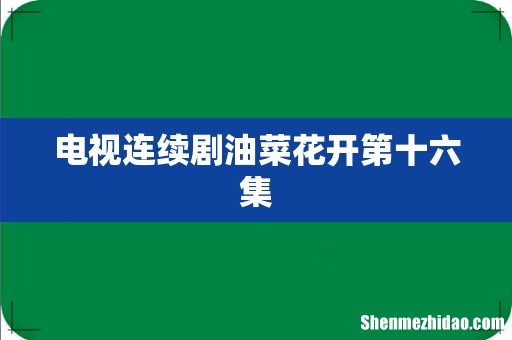 电视连续剧油菜花开第十六集