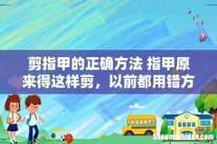 剪指甲的正确方法 指甲原来得这样剪，以前都用错方法了！