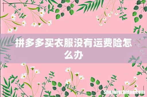 拼多多买衣服没有运费险怎么办