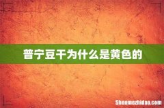 普宁豆干为什么是黄色的