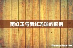 南红玉与南红玛瑙的区别