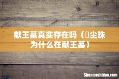 雮尘珠为什么在献王墓 献王墓真实存在吗