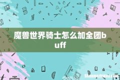 魔兽世界骑士怎么加全团buff