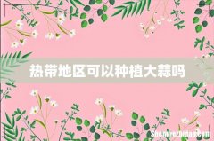 热带地区可以种植大蒜吗