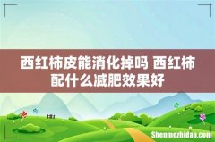 西红柿皮能消化掉吗 西红柿配什么减肥效果好