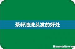 茶籽油洗头发的好处