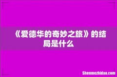 《爱德华的奇妙之旅》的结局是什么