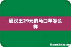 硬汉王29元的马口竿怎么样