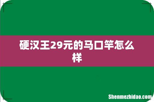 硬汉王29元的马口竿怎么样