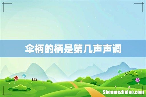 伞柄的柄是第几声声调