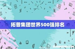 拓普集团世界500强排名
