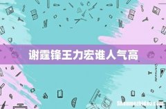谢霆锋王力宏谁人气高