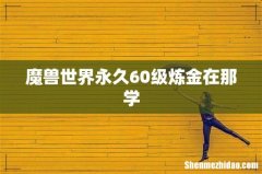 魔兽世界永久60级炼金在那学