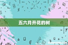 五六月开花的树