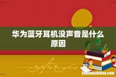 华为蓝牙耳机没声音是什么原因