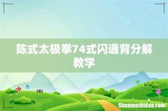 陈式太极拳74式闪通背分解教学