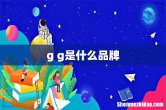 g g是什么品牌