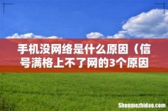 信号满格上不了网的3个原因 手机没网络是什么原因