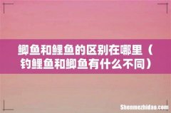 钓鲤鱼和鲫鱼有什么不同 鲫鱼和鲤鱼的区别在哪里