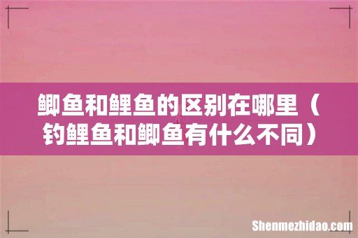 钓鲤鱼和鲫鱼有什么不同 鲫鱼和鲤鱼的区别在哪里