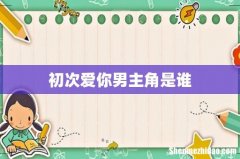 初次爱你男主角是谁