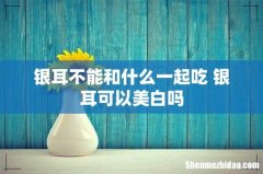 银耳不能和什么一起吃 银耳可以美白吗