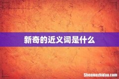 新奇的近义词是什么