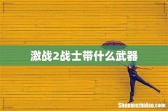 激战2战士带什么武器