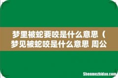 梦见被蛇咬是什么意思 周公解梦 梦里被蛇要咬是什么意思
