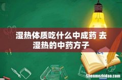 湿热体质吃什么中成药 去湿热的中药方子